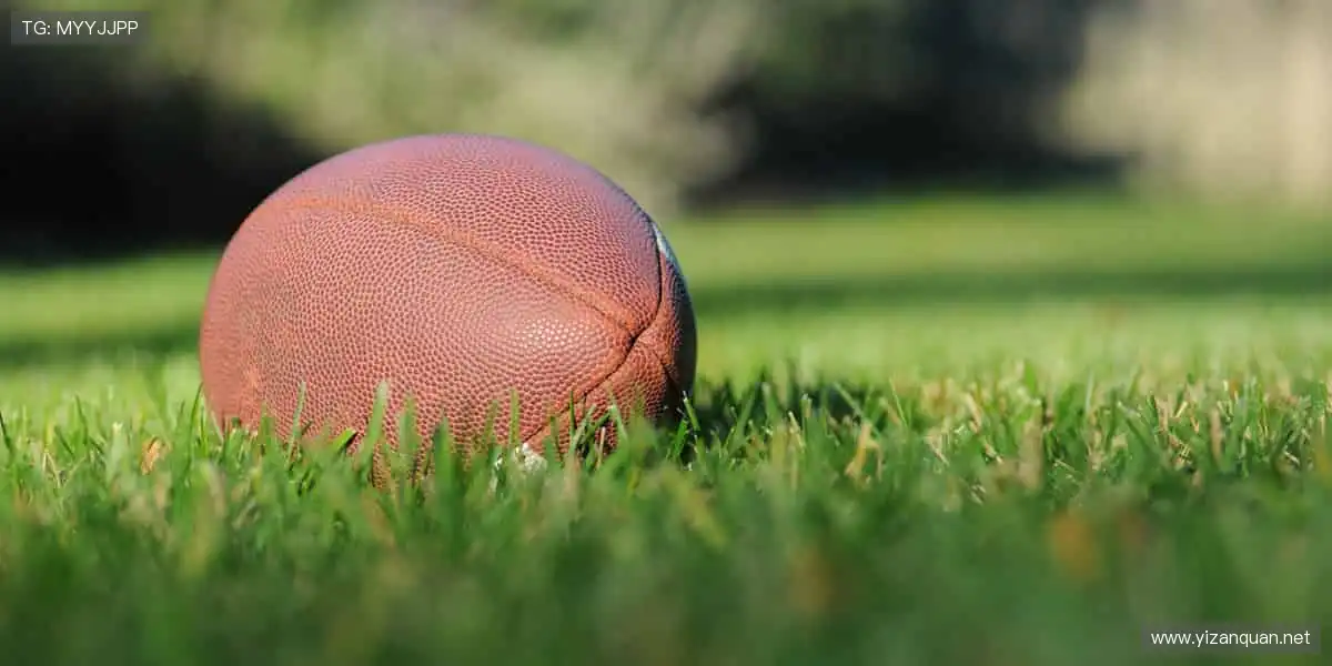 📺 高清直播，实时互动！不错过每一个心跳瞬间！